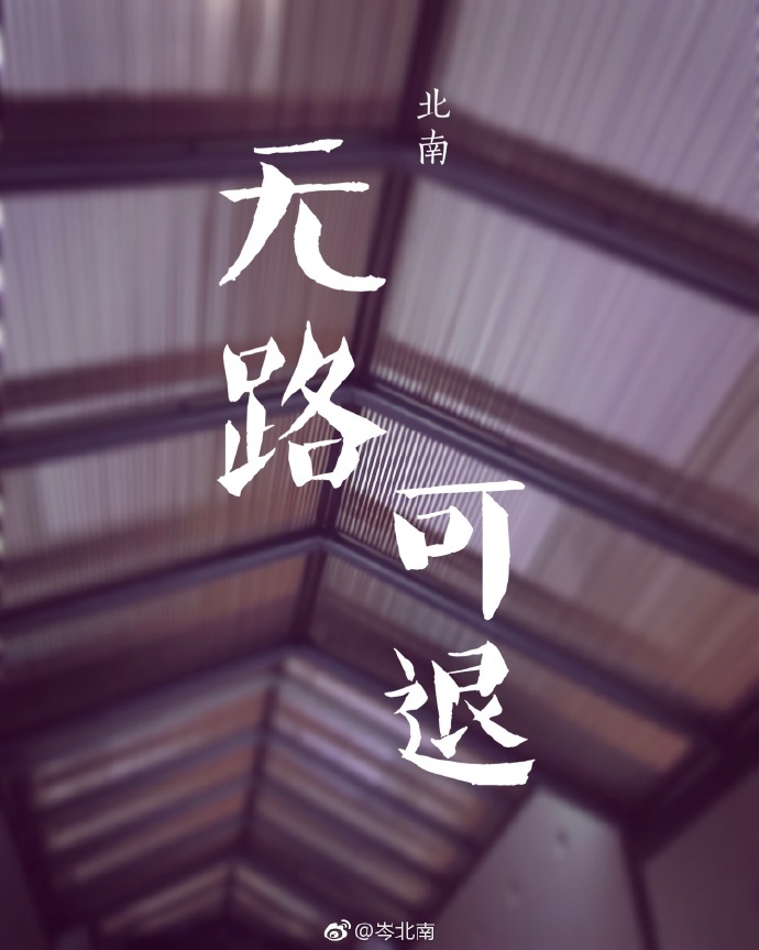 无路可退小说