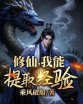 我能提取经验值 小说