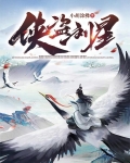 侠盗留一明23章