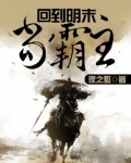 回到明末当霸王免费下载