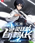 死神：瀞灵廷的自律队长